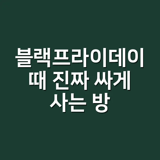 블랙프라이데이 때 진짜 싸게 사는 방법 - 요약