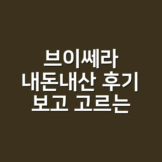 브이쎄라 내돈내산 후기 보고 고르는 방법 - 요약