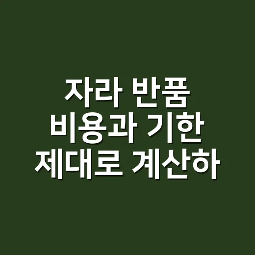 자라 반품 비용과 기한 제대로 계산하는 방법 - 요약