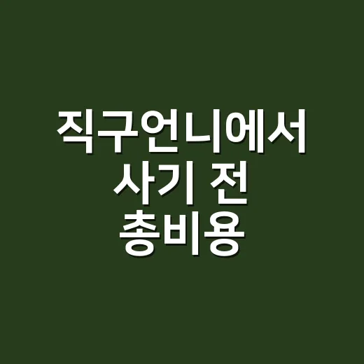 직구언니에서 사기 전 총비용 비교하는 방법 - 요약