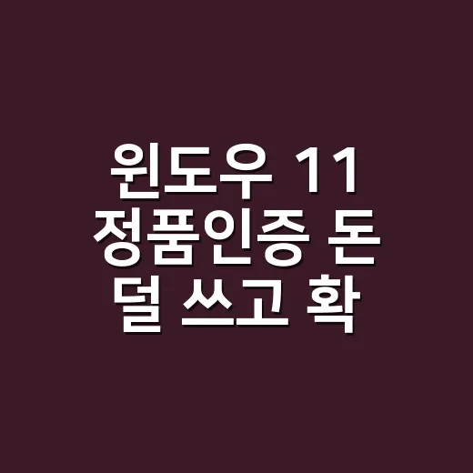 윈도우 11 정품인증 돈 덜 쓰고 확인하는 방법 - 요약