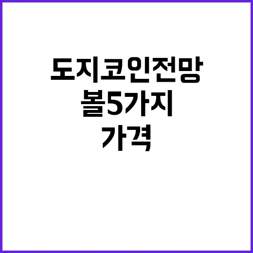 도지코인전망 스스로 판단하는 방법: 가격보다 먼저 볼 5가지 - 요약