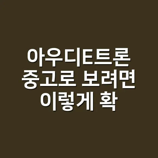 아우디E트론 중고로 보려면 이렇게 확인하는 방법 - 요약