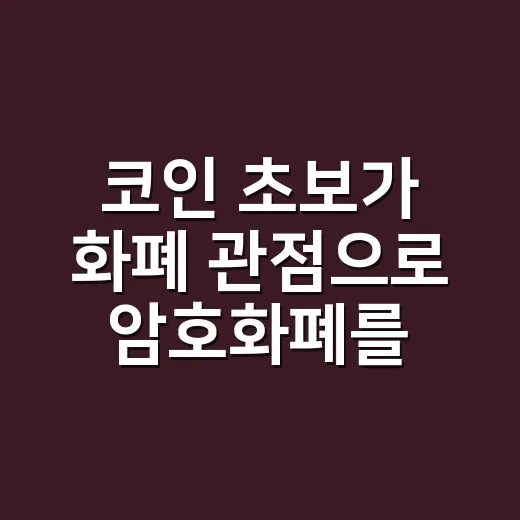 코인 초보가 화폐 관점으로 암호화폐를 판단하는 방법 - 요약