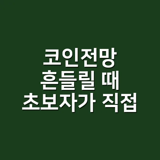코인전망 흔들릴 때 초보자가 직접 판단하는 방법 - 요약