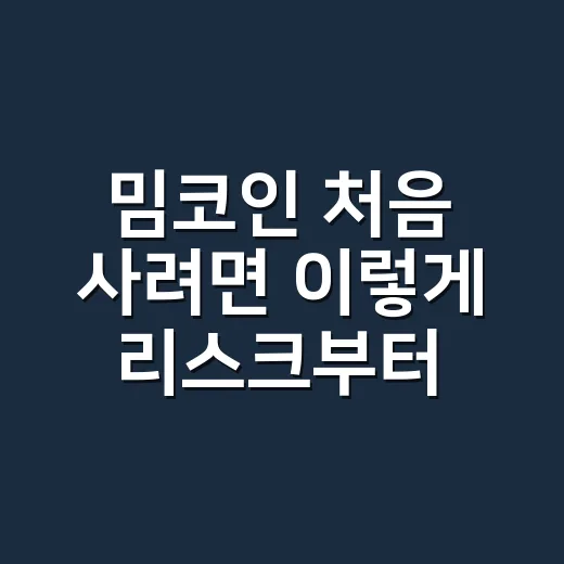 밈코인 처음 사려면 이렇게 리스크부터 확인하는 방법 - 요약