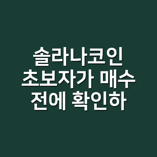 솔라나코인 초보자가 매수 전에 확인하는 방법 - 요약