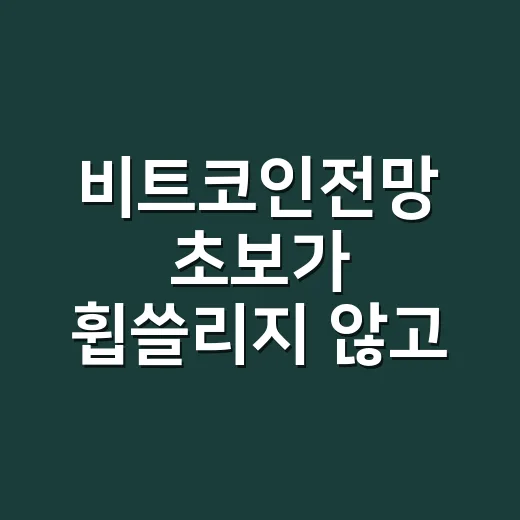 비트코인전망 초보가 휩쓸리지 않고 판단하는 방법 - 요약