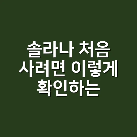 솔라나 처음 사려면 이렇게 확인하는 방법 - 요약