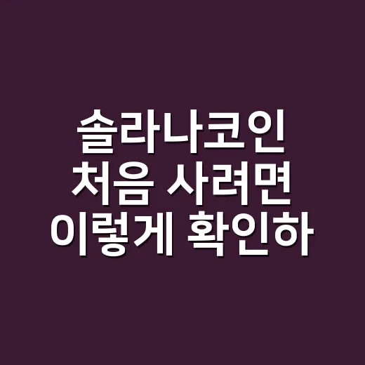 솔라나코인 처음 사려면 이렇게 확인하는 방법 - 요약