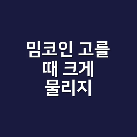 밈코인 고를 때 크게 물리지 않으려면 이렇게 확인하는 방법 - 요약