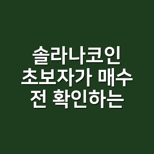 솔라나코인 초보자가 매수 전 확인하는 방법 - 요약