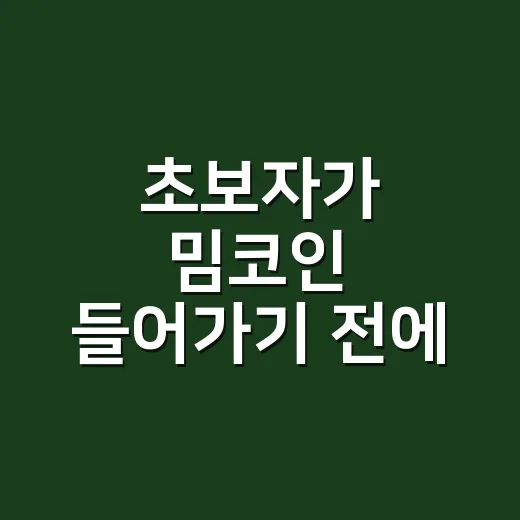 초보자가 밈코인 들어가기 전에 확인하는 방법 - 요약