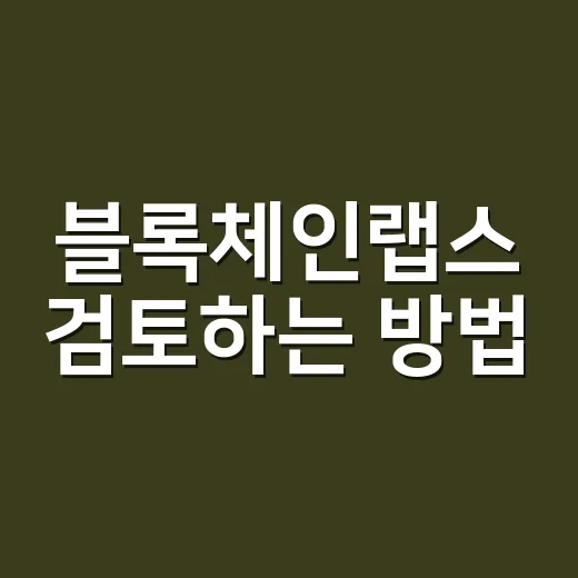 블록체인랩스 검토하는 방법: 코인 투자자가 먼저 확인할 5가지 - 요약