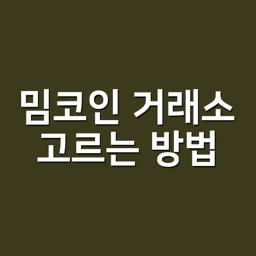 밈코인 거래소 고르는 방법, 초보자는 이렇게 걸러야 덜 다칩니다 - 요약