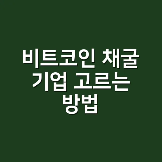 비트코인 채굴 기업 고르는 방법, 주가보다 먼저 봐야 할 숫자들 - 요약