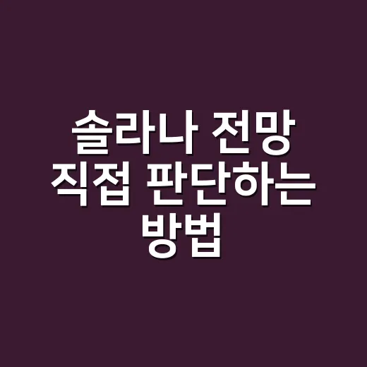 솔라나 전망 직접 판단하는 방법: 가격보다 먼저 볼 숫자들 - 요약