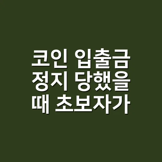 코인 입출금 정지 당했을 때 초보자가 확인하는 방법 - 요약