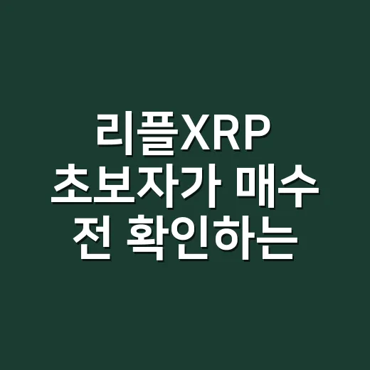 리플XRP 초보자가 매수 전 확인하는 방법 - 요약