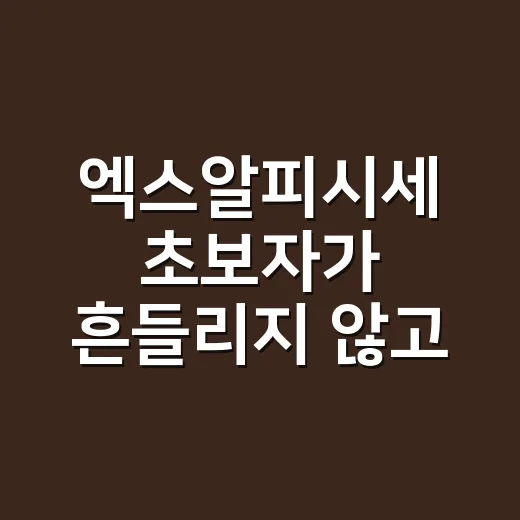 엑스알피시세 초보자가 흔들리지 않고 확인하는 방법 - 요약