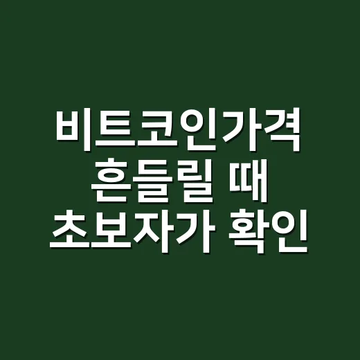 비트코인가격 흔들릴 때 초보자가 확인하는 방법 - 요약