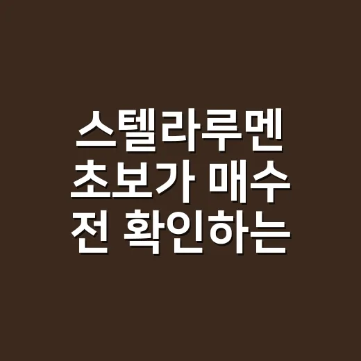 스텔라루멘 초보가 매수 전 확인하는 방법 - 요약