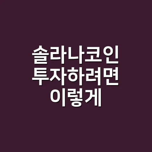 솔라나코인 투자하려면 이렇게 확인하는 방법 - 요약