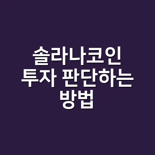 솔라나코인 투자 판단하는 방법, 초보자가 먼저 보는 5가지 - 요약