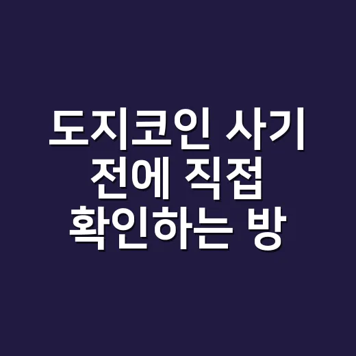 도지코인 사기 전에 직접 확인하는 방법 - 요약