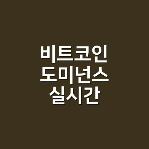 비트코인 도미넌스 실시간 확인하는 방법, 초보자가 같이 봐야 할 지표 - 요약