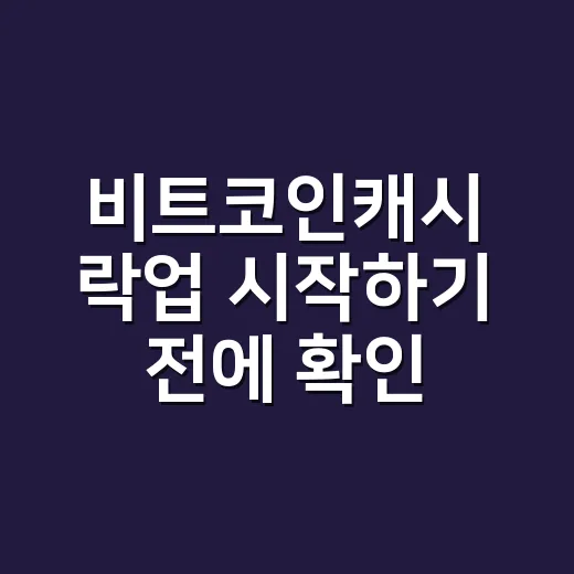 비트코인캐시 락업 시작하기 전에 확인하는 방법 - 요약