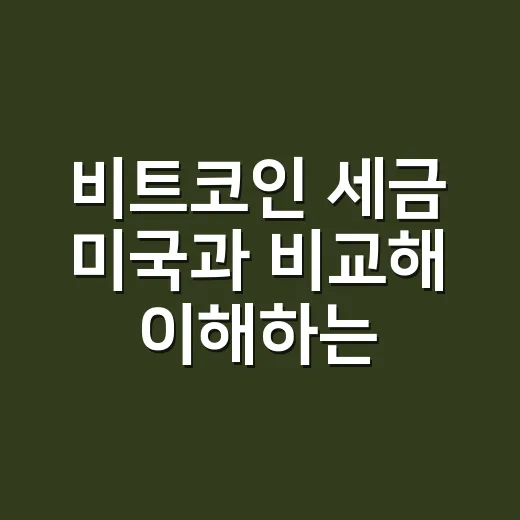 비트코인 세금 미국과 비교해 이해하는 방법 - 요약