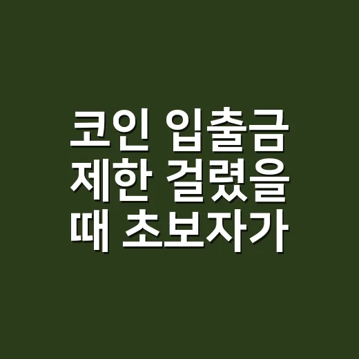 코인 입출금 제한 걸렸을 때 초보자가 확인하는 방법 - 요약
