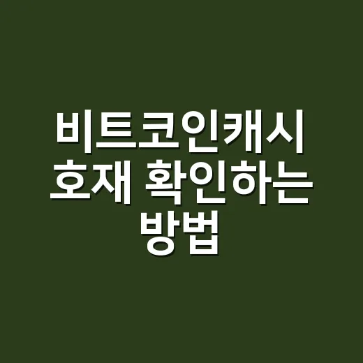 비트코인캐시 호재 확인하는 방법, 초보자가 놓치기 쉬운 5가지 - 요약