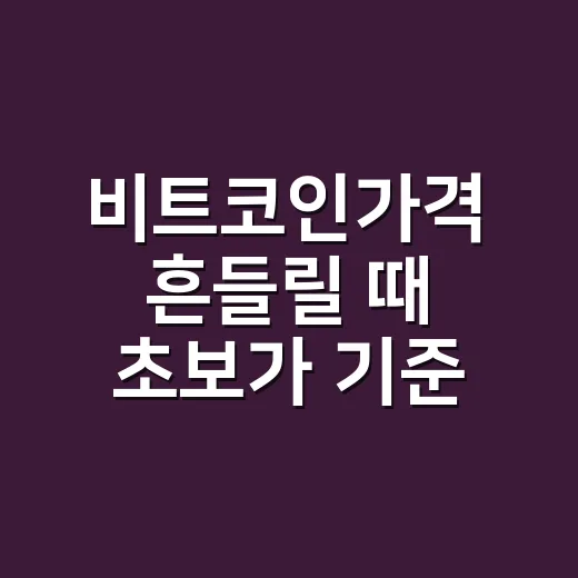 비트코인가격 흔들릴 때 초보가 기준 잡는 방법 - 요약