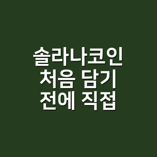 솔라나코인 처음 담기 전에 직접 확인하는 방법 - 요약