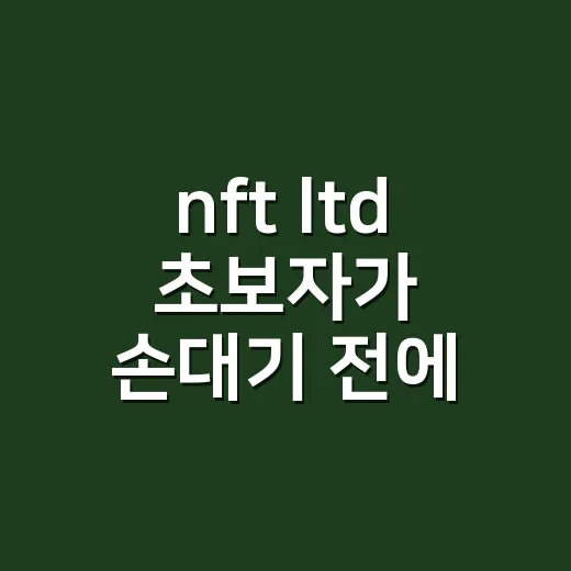 nft ltd 초보자가 손대기 전에 확인하는 방법 - 요약