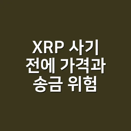 XRP 사기 전에 가격과 송금 위험 확인하는 방법 - 요약