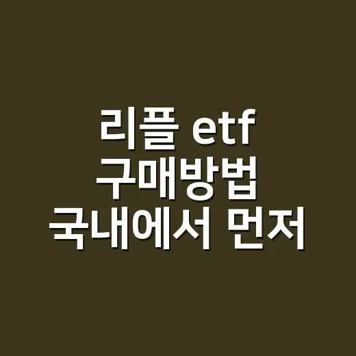 리플 etf 구매방법 국내에서 먼저 확인할 것 - 요약