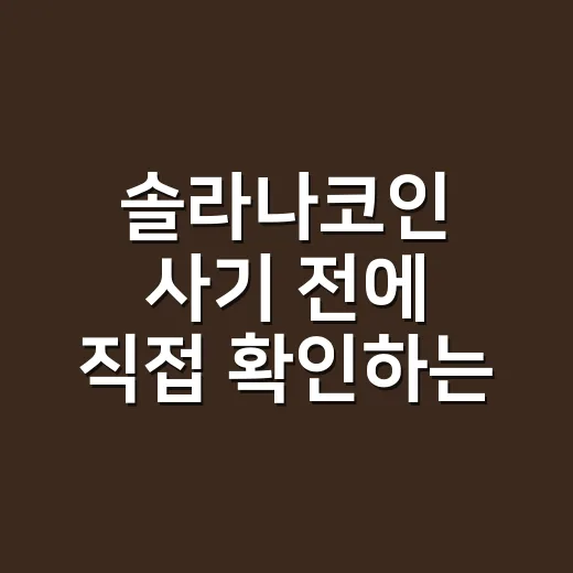 솔라나코인 사기 전에 직접 확인하는 방법 - 요약