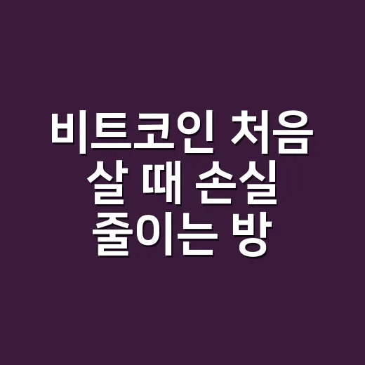 비트코인 처음 살 때 손실 줄이는 방법 - 요약
