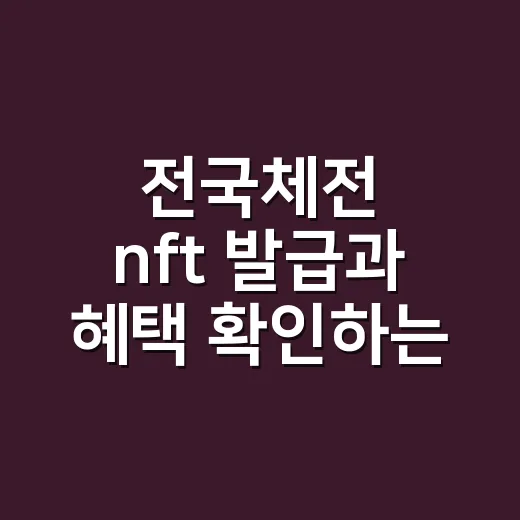 전국체전 nft 발급과 혜택 확인하는 방법 - 요약