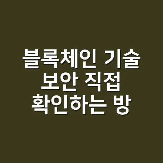 블록체인 기술 보안 직접 확인하는 방법 - 요약
