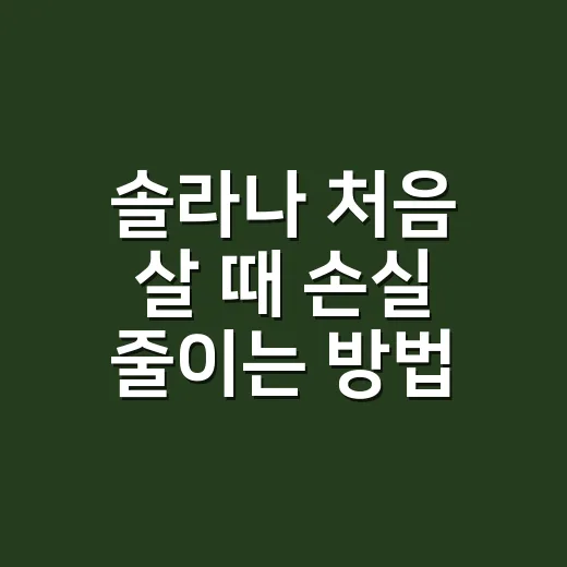 솔라나 처음 살 때 손실 줄이는 방법 - 요약