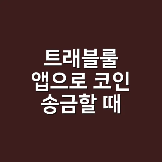 트래블룰 앱으로 코인 송금할 때 확인하는 방법 - 요약
