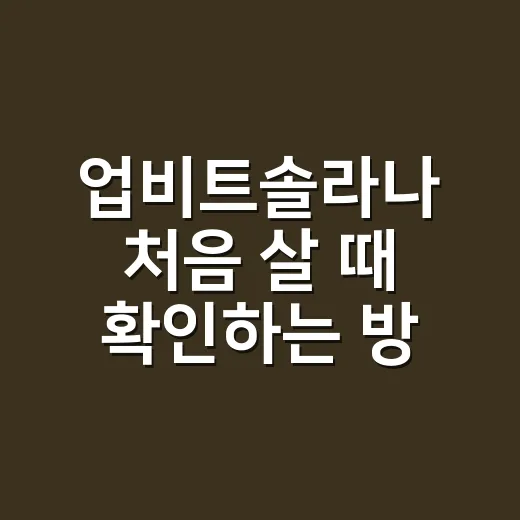 업비트솔라나 처음 살 때 확인하는 방법 - 요약