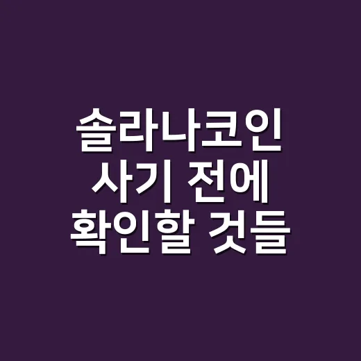 솔라나코인 사기 전에 확인할 것들 - 요약