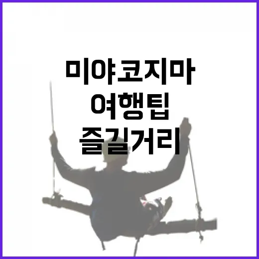 미야코지마에서 놓치면 안 될 즐길 거리와 여행 팁 - 요약