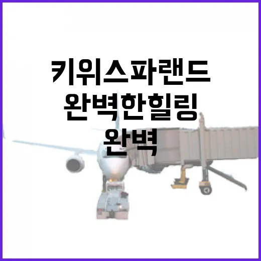 키위스파랜드에서 완벽한 힐링을 즐기는 방법 - 요약