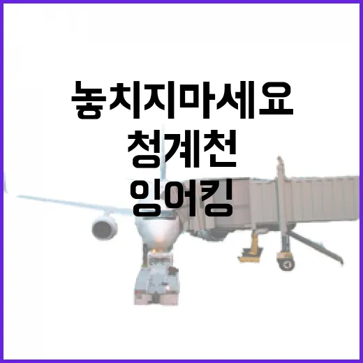 청계천에서 잉어킹을 만나는 방법, 놓치지 마세요! - 요약